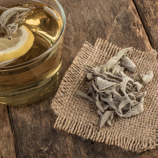Greek Sage (Crete)