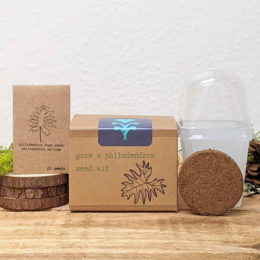 Grow a Philodendron Seed Kit