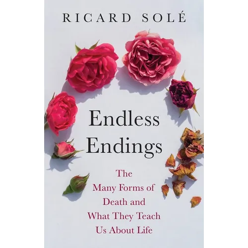 Endless Endings: The Many Forms of Death and What They Teach Us about Life