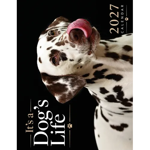 It's a Dog's Life 2027 Calendar