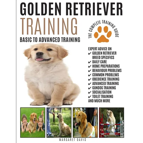 Golden Retriever Training: The Complete Training Guide