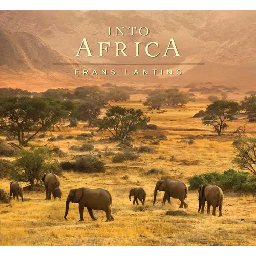 Into Africa
