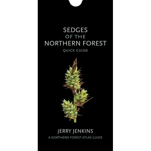 Sedges of the Northern Forest: Quick Guide