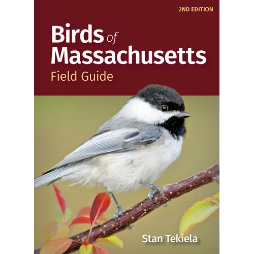 Birds of Massachusetts Field Guide