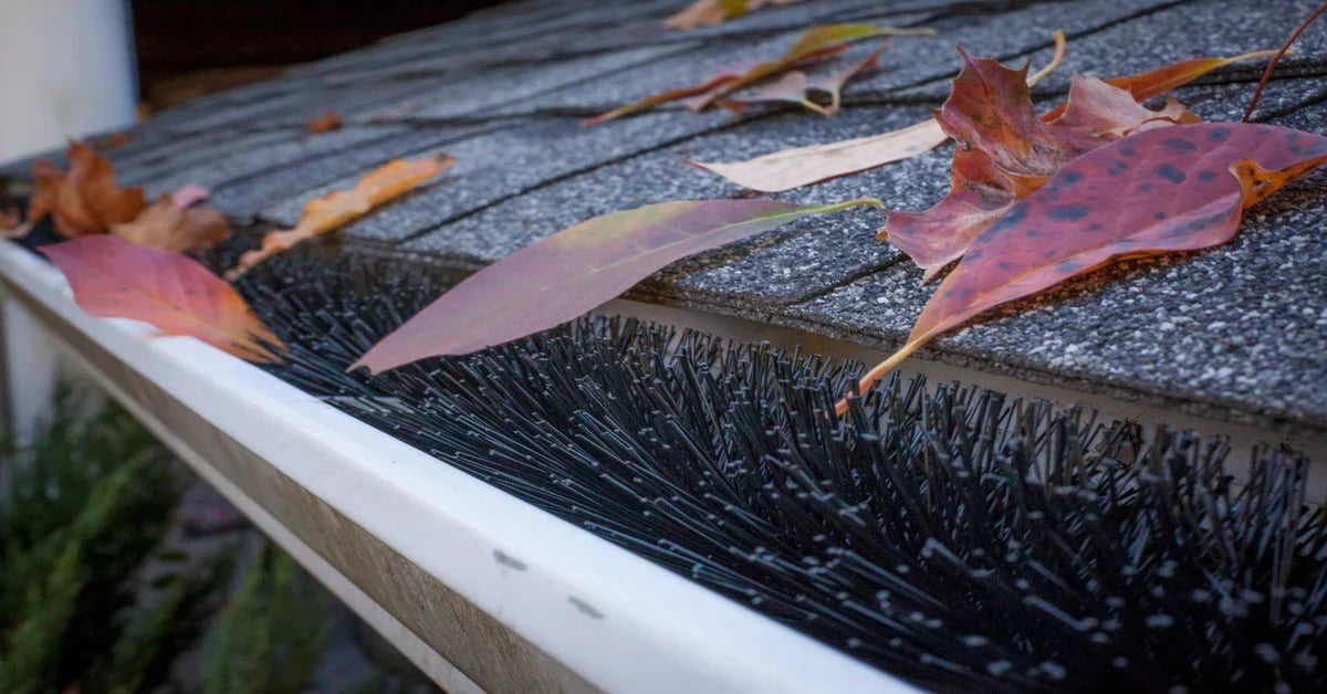5 Inch Gutter Guards – Standard Size Brush Leaf Guard (4.25" Dia) – Easy Gutter Protection & Leaf Filter Alternative