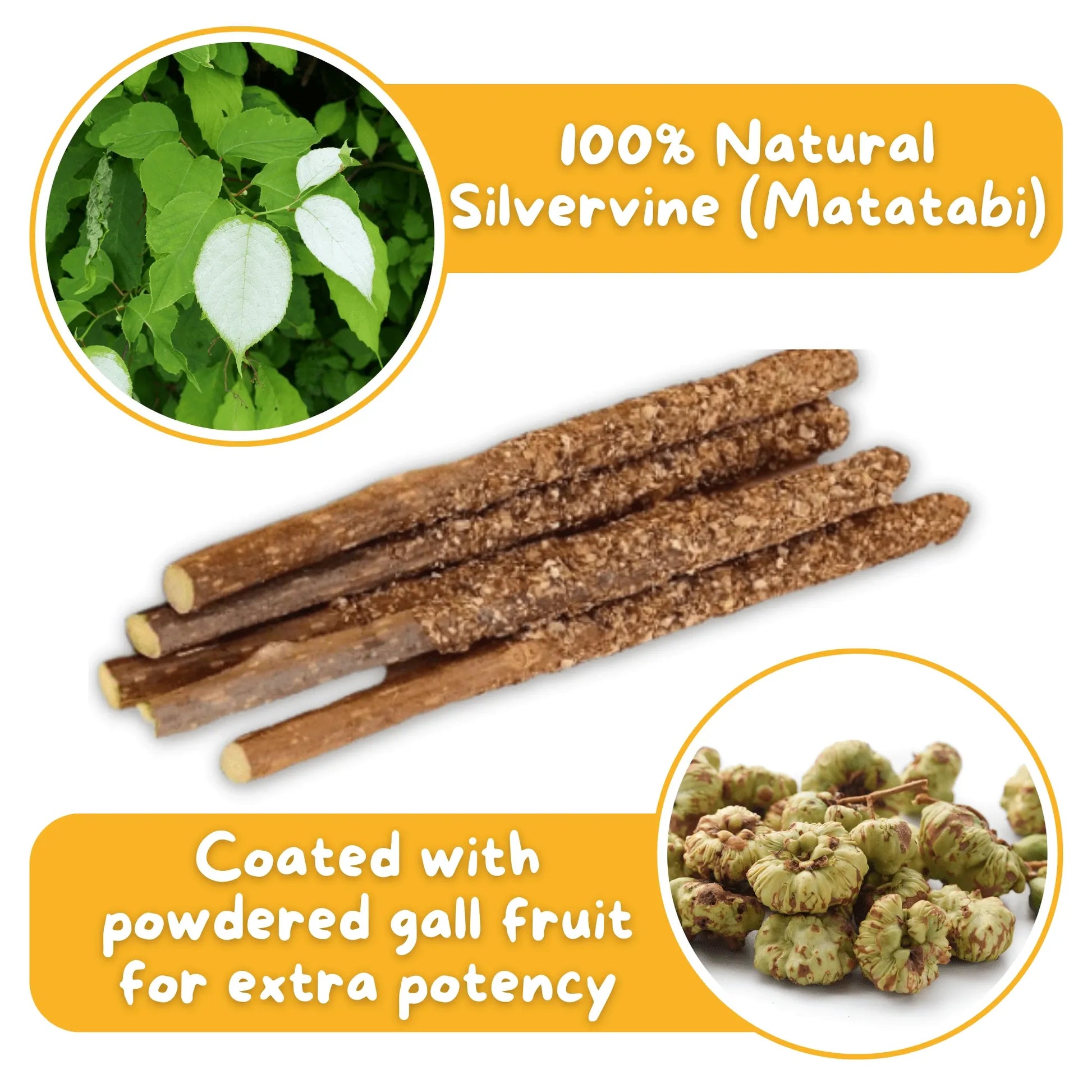 Premium Silvervine Sticks with Gall Fruit Powder (12 ct) - Hide & Scratch - Little Red General Store