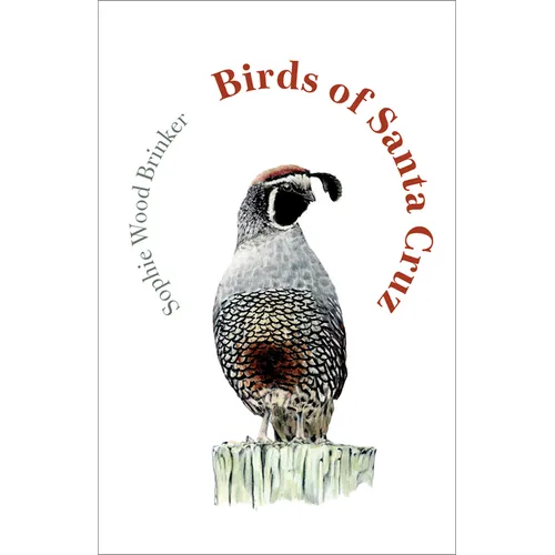 Birds of Santa Cruz