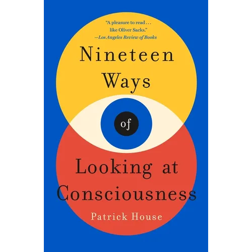 Nineteen Ways of Looking at Consciousness