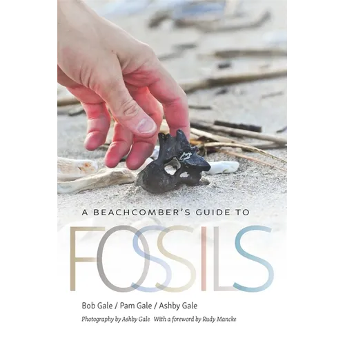 A Beachcomber's Guide to Fossils