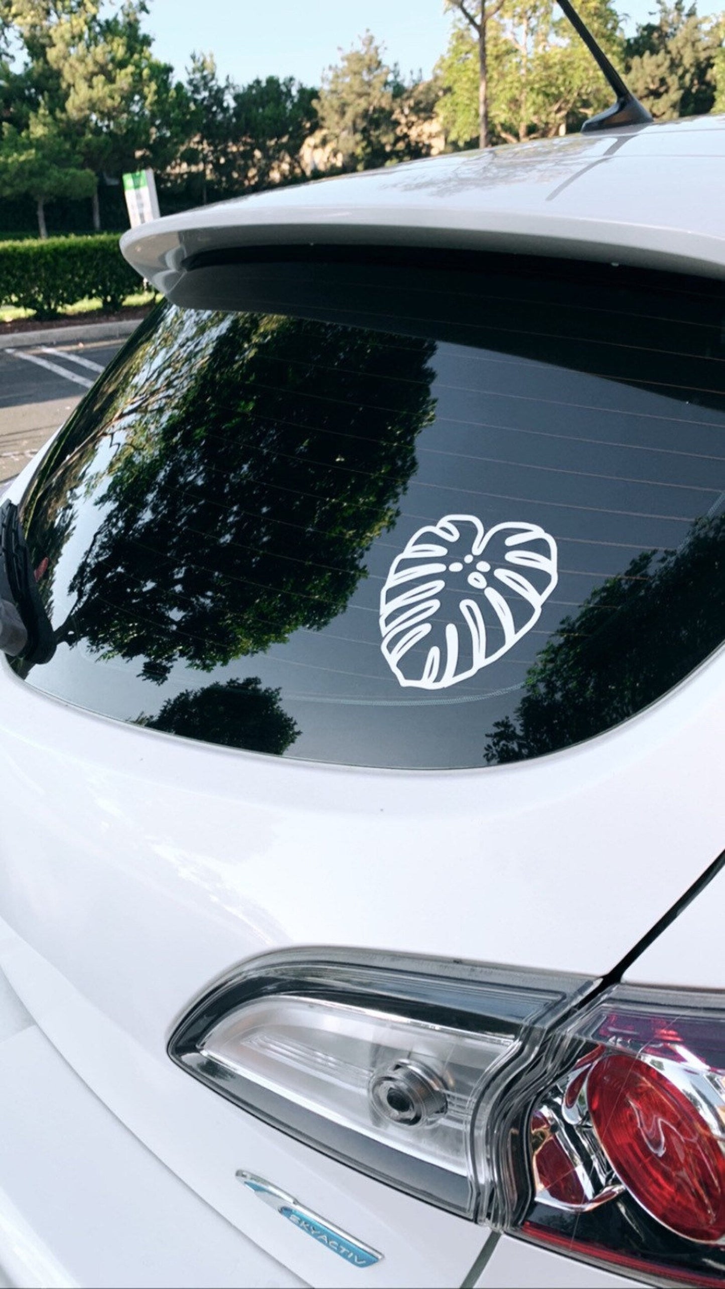 Fenestrated Monstera Deliciosa Sticker Decal