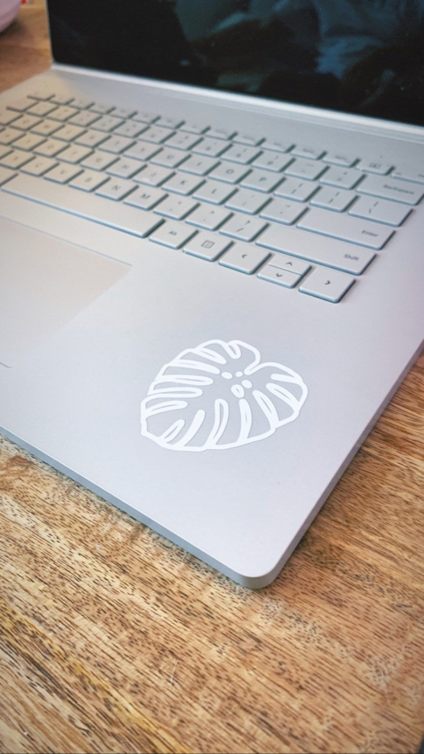 Fenestrated Monstera Deliciosa Sticker Decal