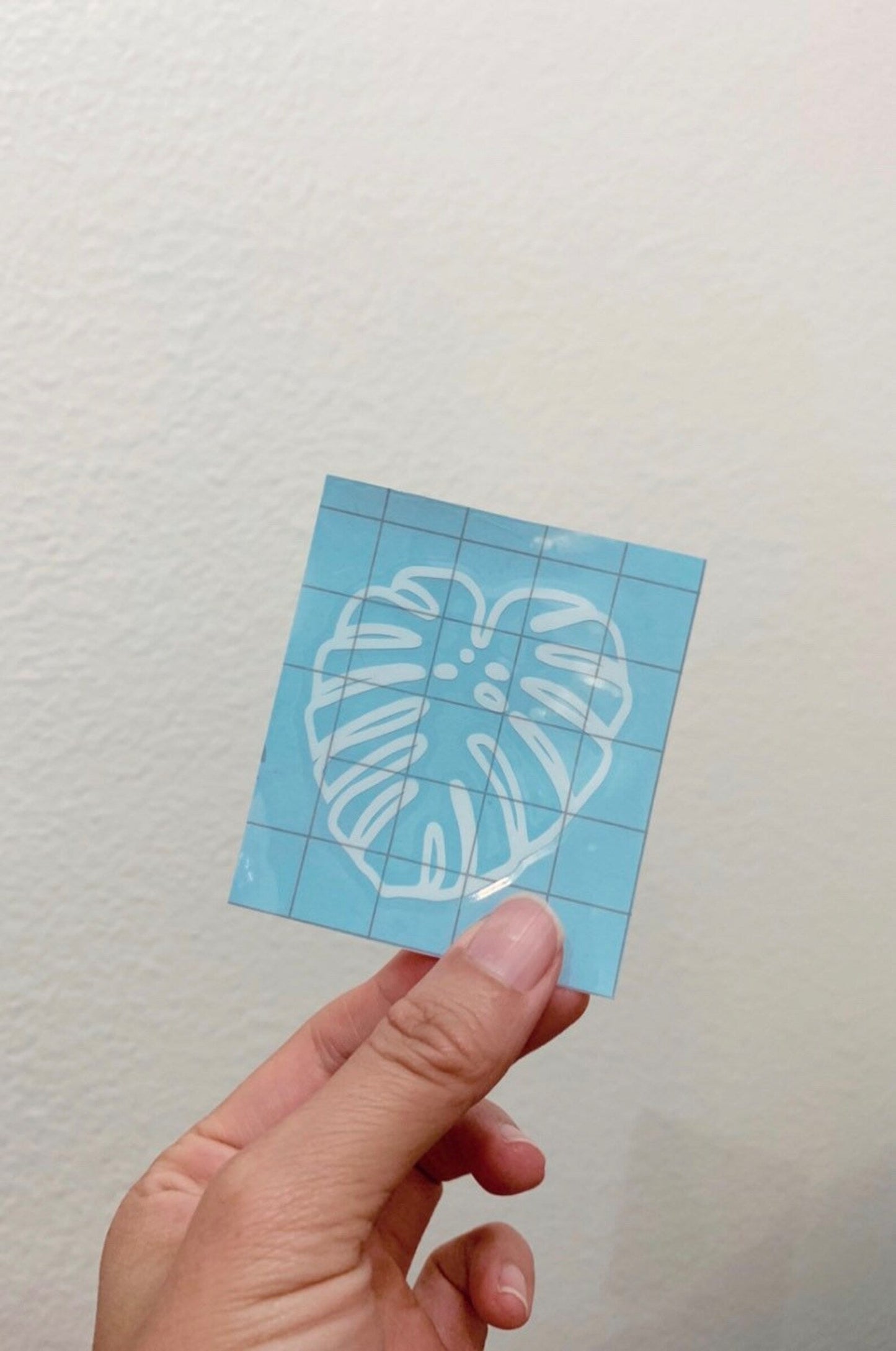 Fenestrated Monstera Deliciosa Sticker Decal