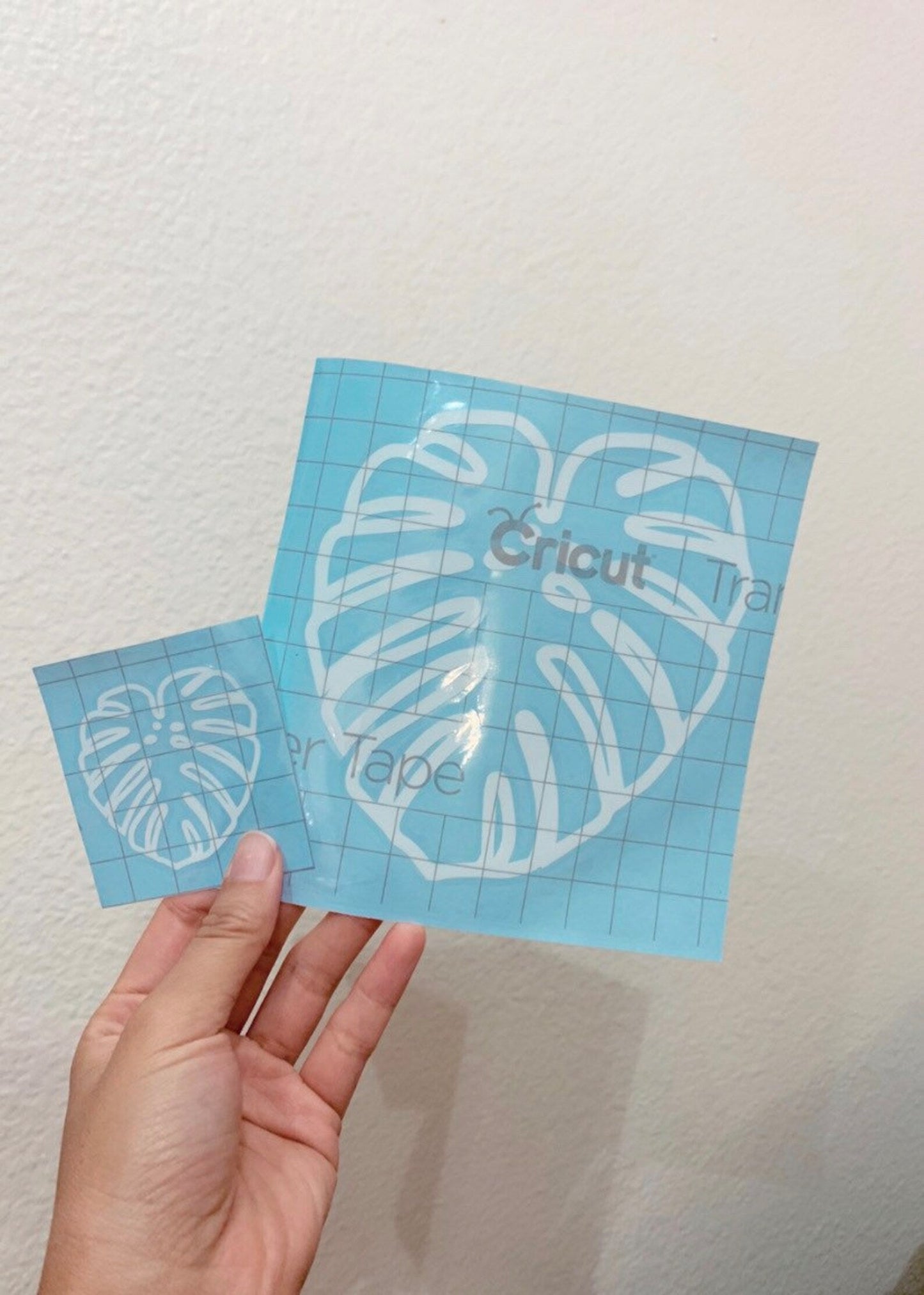 Mature Monstera Deliciosa Decal Stickers