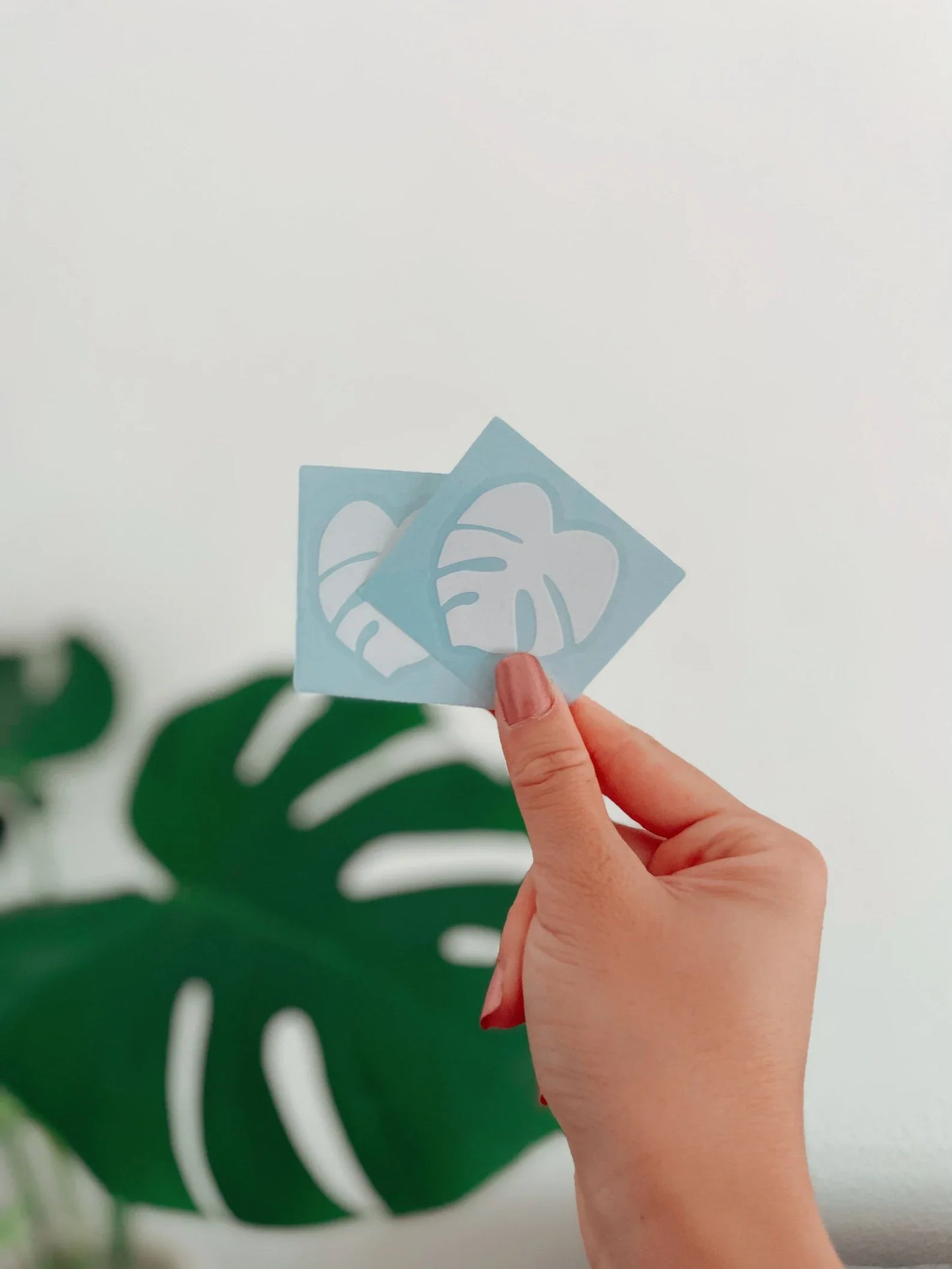 Monstera Deliciosa Decal Stickers
