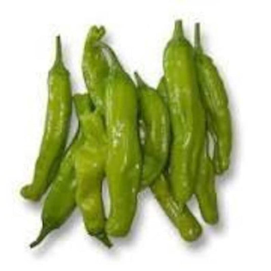 Shishito Pepper Plant - 1 Live Plant in 3" Pot - Capsicum annuum