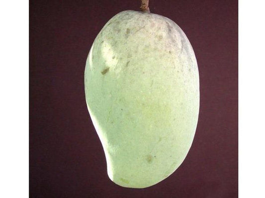 Pim Saen Mun Mango Tree - 1ft Grafted Live Plant - Mature Fruit Producer - Mangifera indica - Ships in 3gal Pot