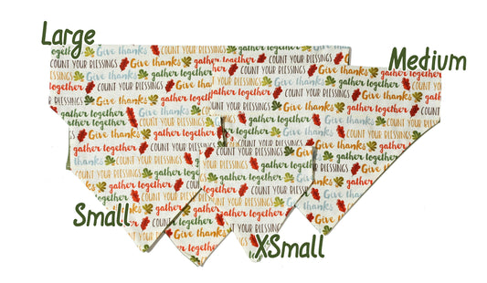 Thankful Words Pet Scarf