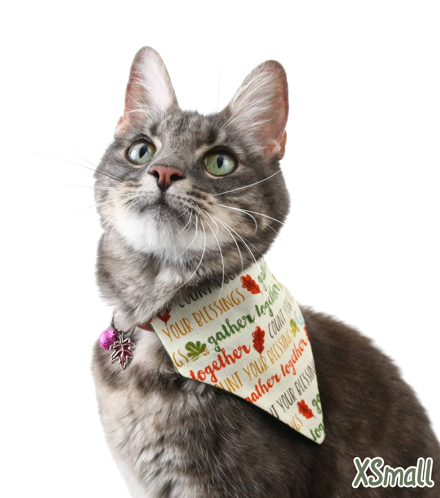 Thankful Words Pet Scarf