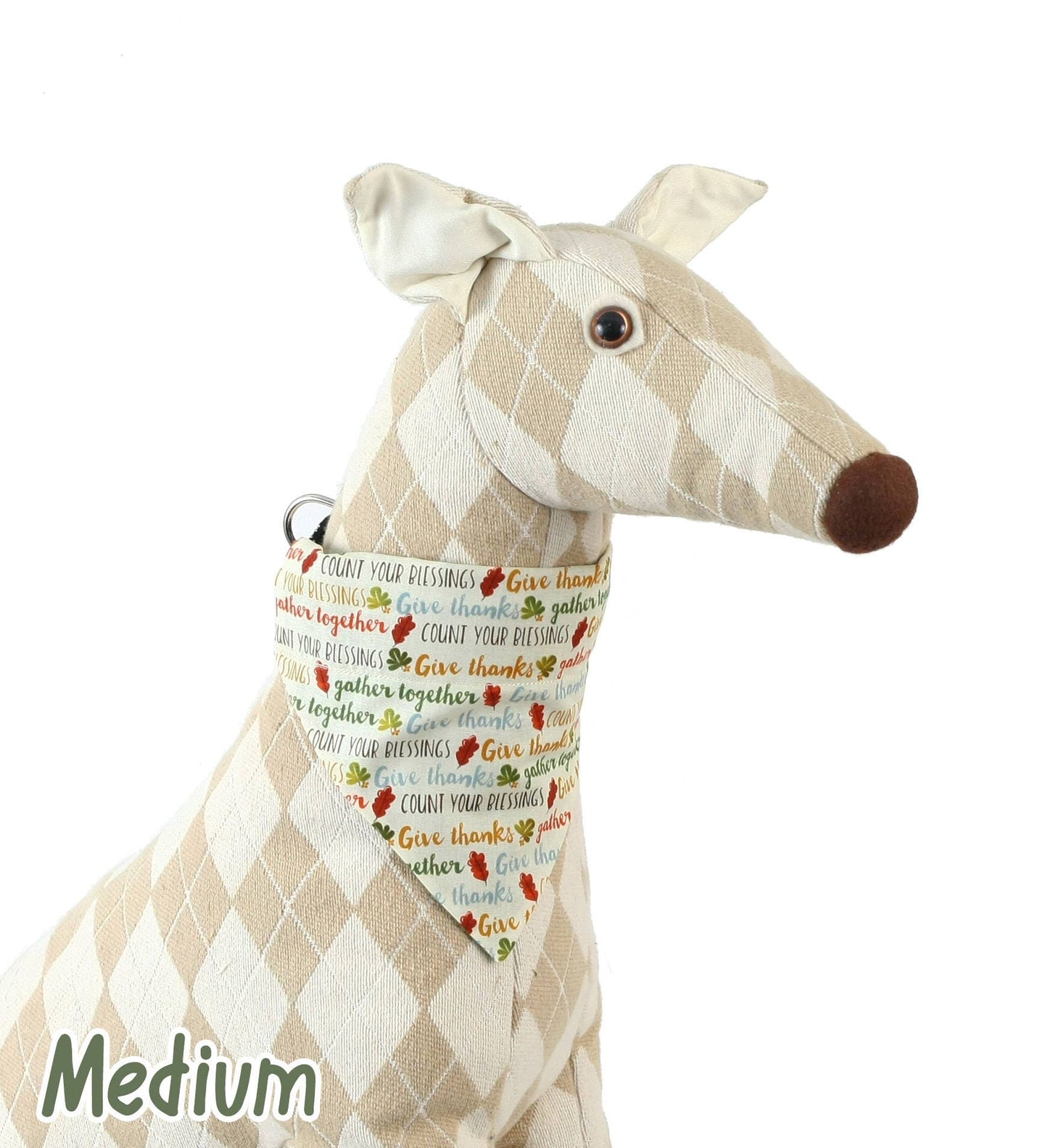 Thankful Words Pet Scarf