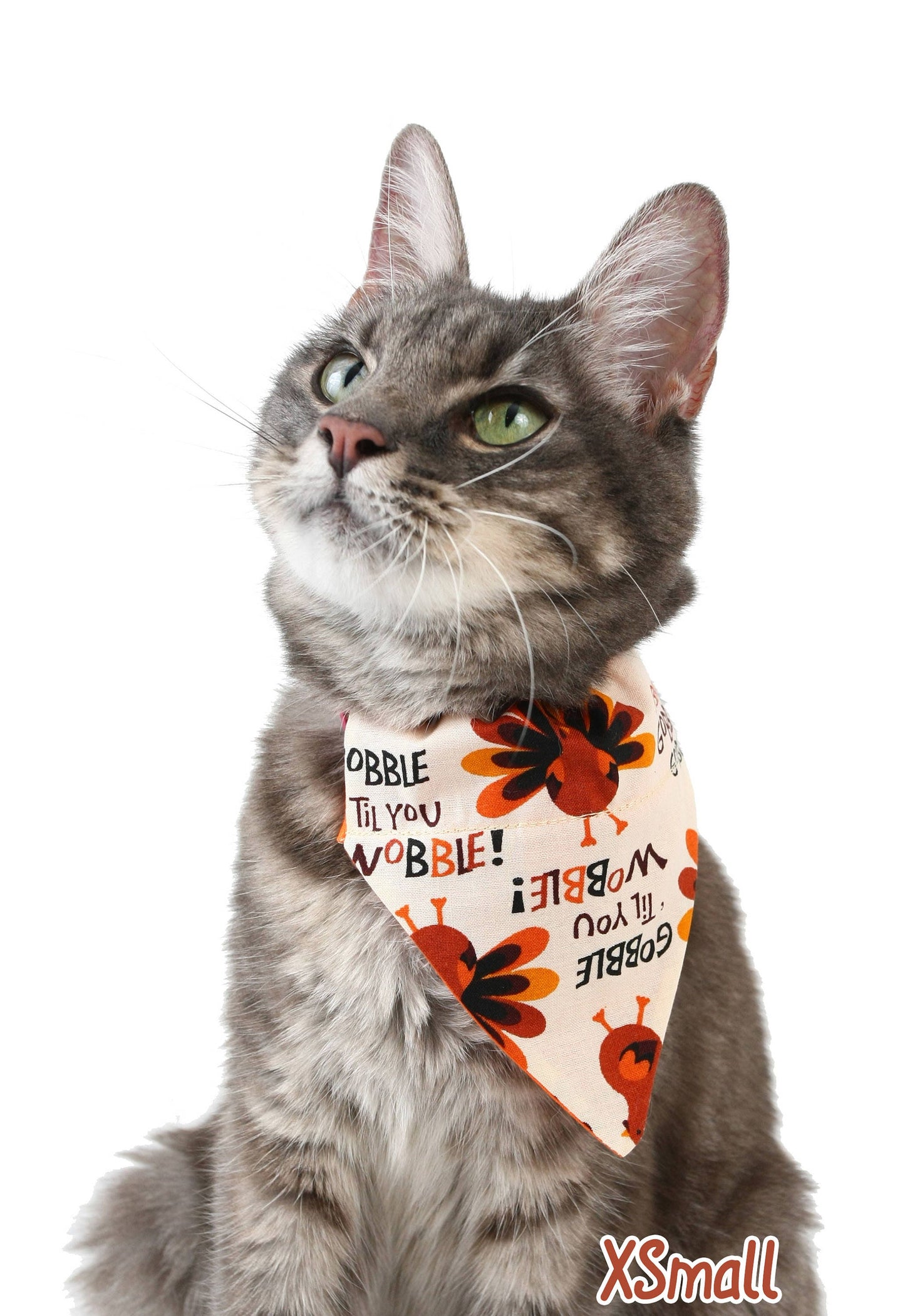 Gobble Til You Wobble Pet Scarf