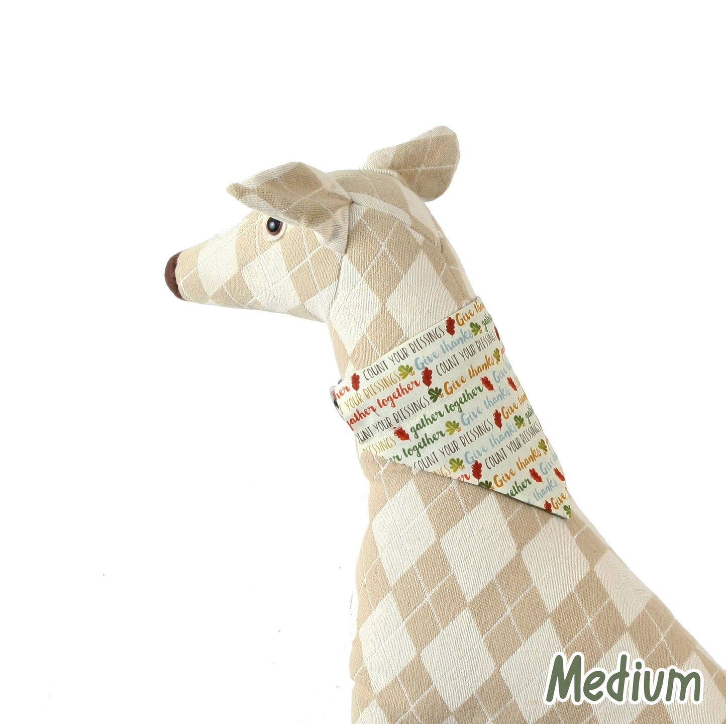 Thankful Words Pet Scarf