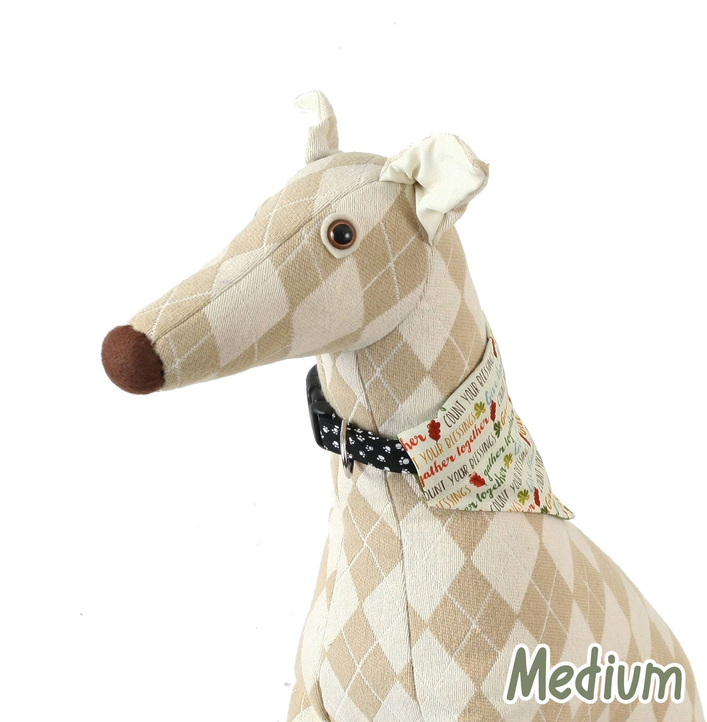 Thankful Words Pet Scarf