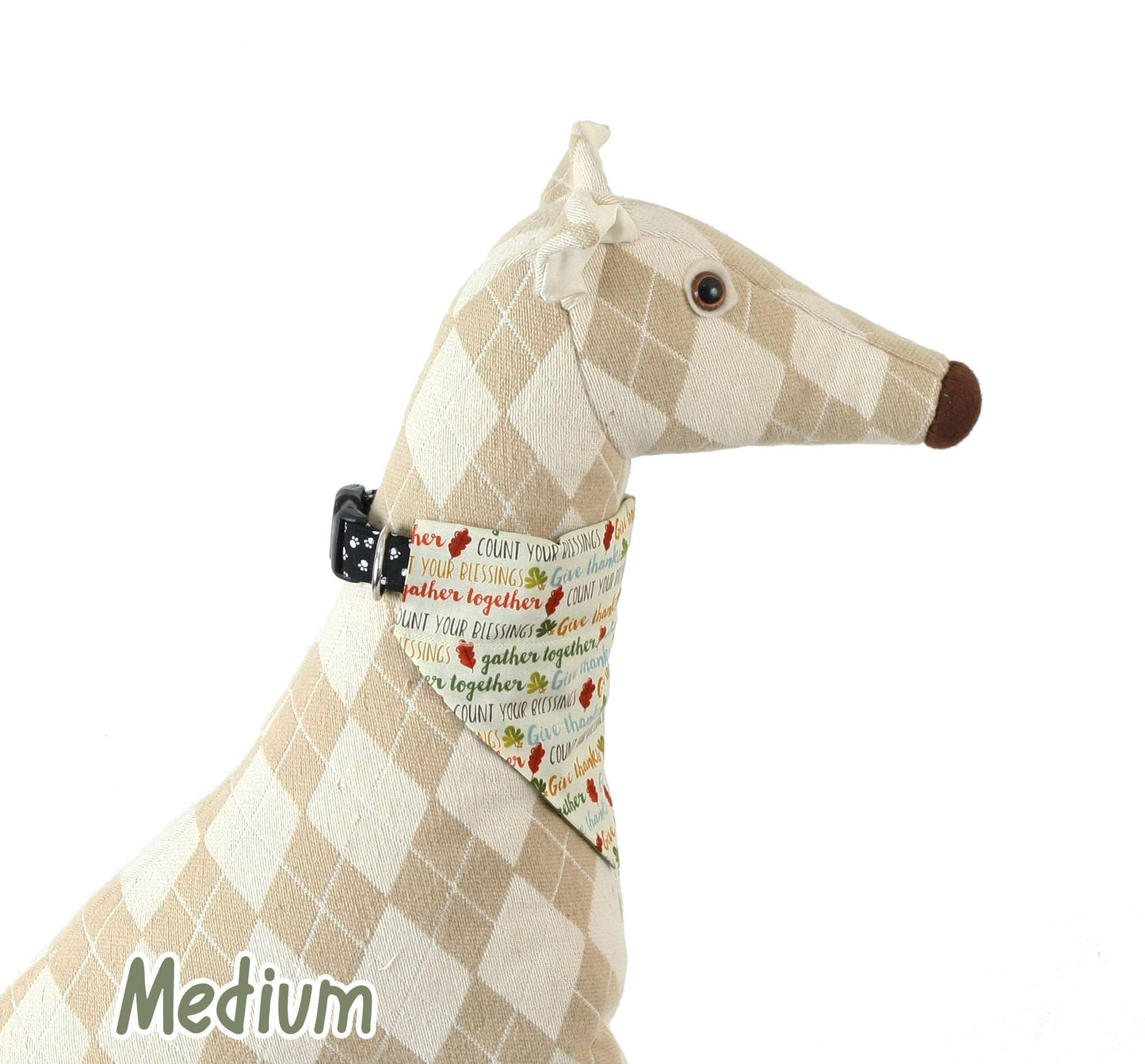 Thankful Words Pet Scarf