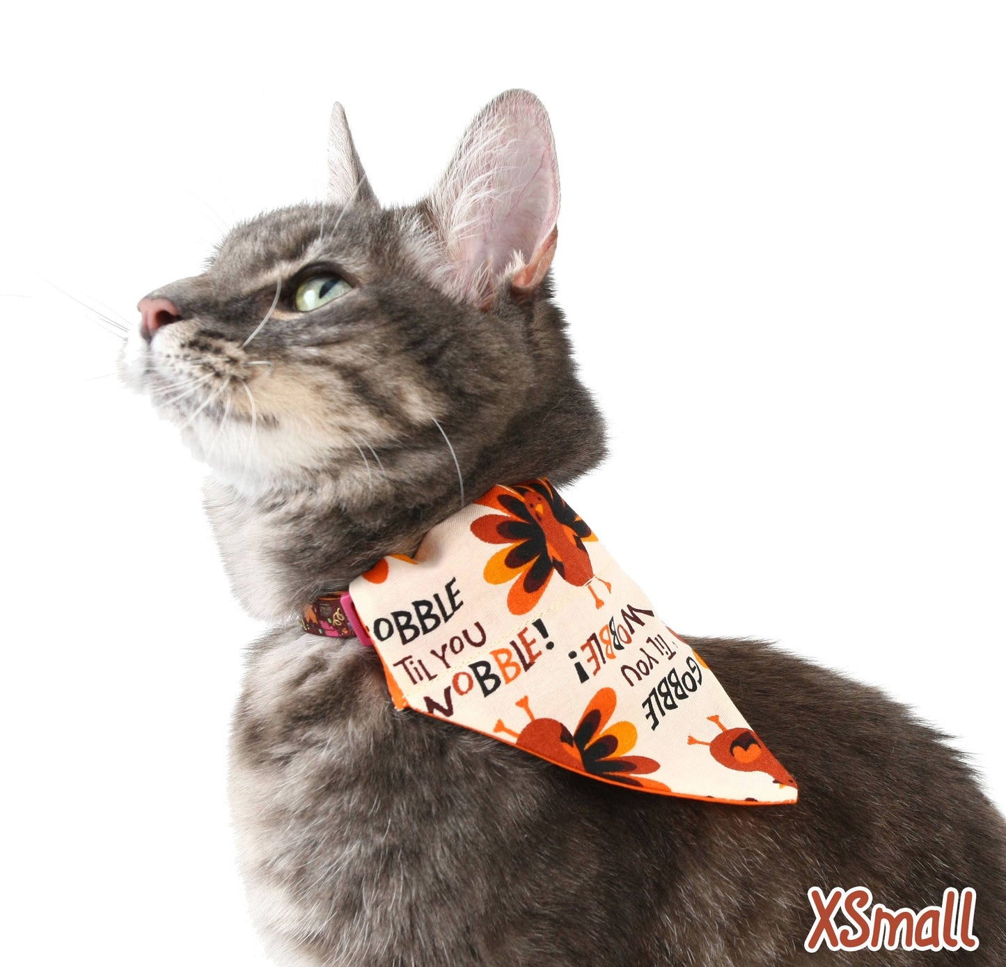 Gobble Til You Wobble Pet Scarf