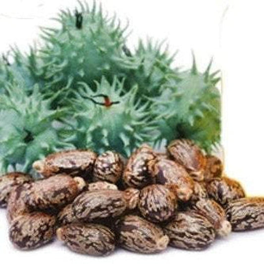Castor Oil, Black