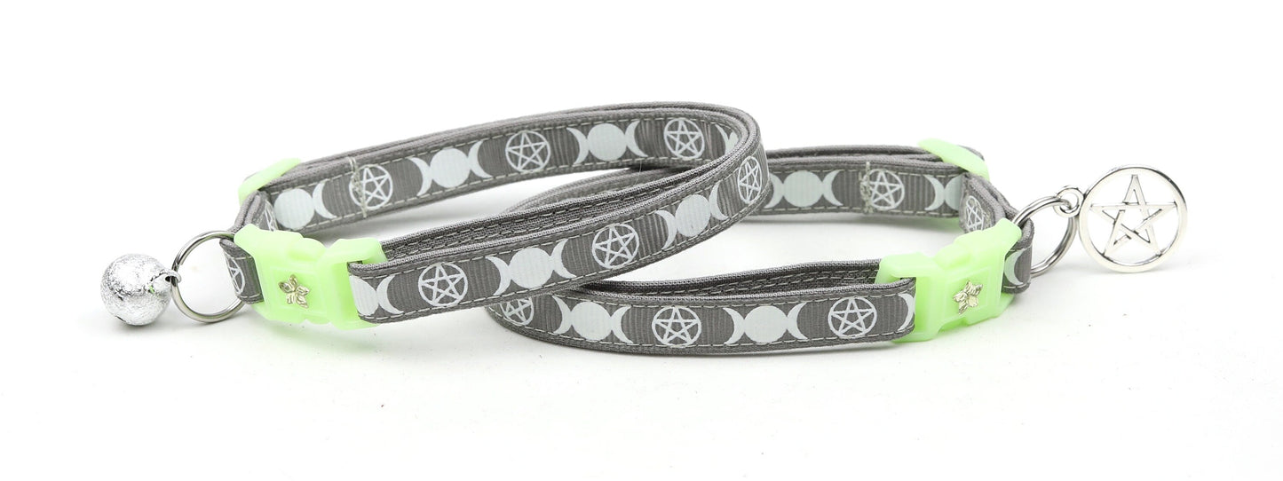 Witch's Familiar on Silver Cat Collar