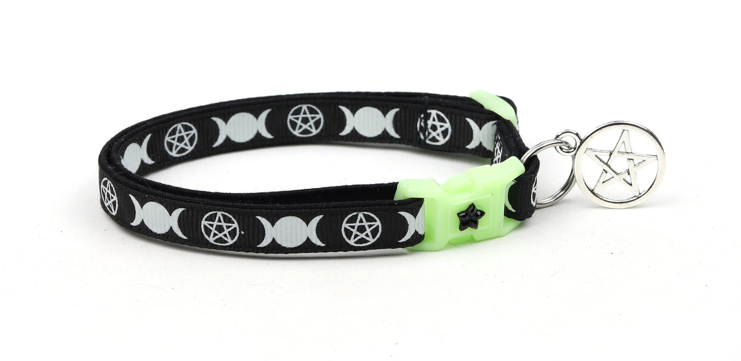 Witch's Familiar on Black Cat Collar