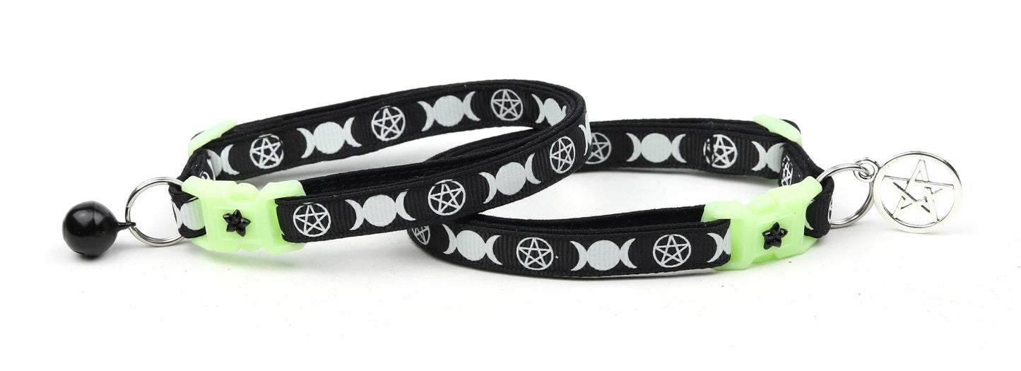Witch's Familiar on Black Cat Collar