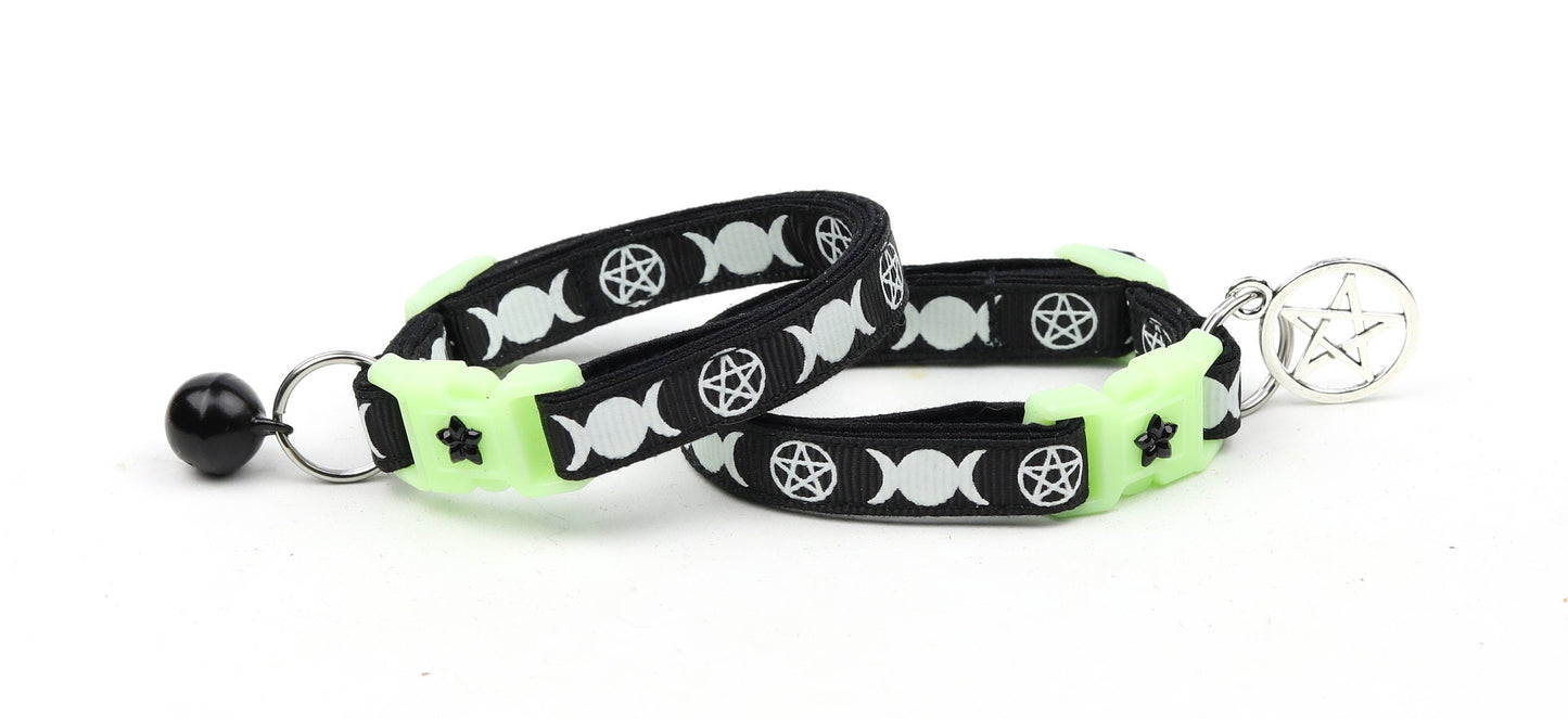 Witch's Familiar on Black Cat Collar