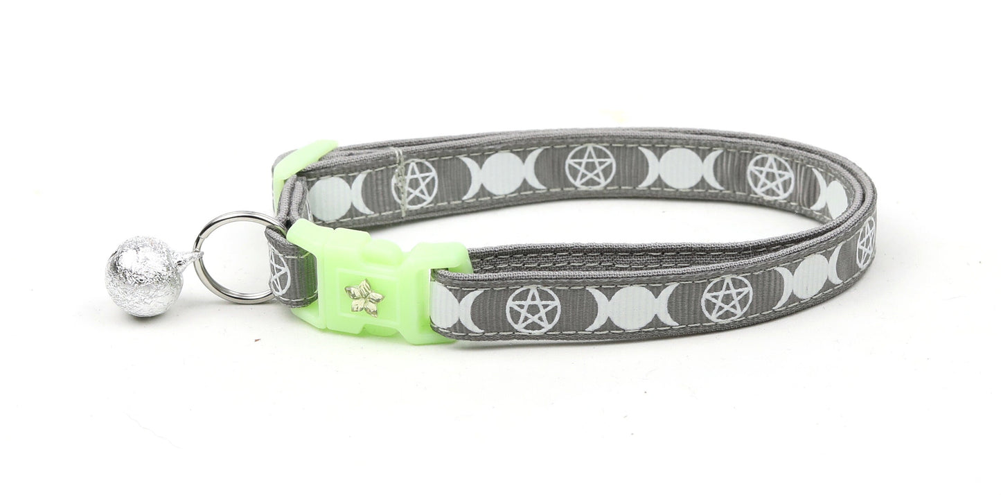 Witch's Familiar on Silver Cat Collar