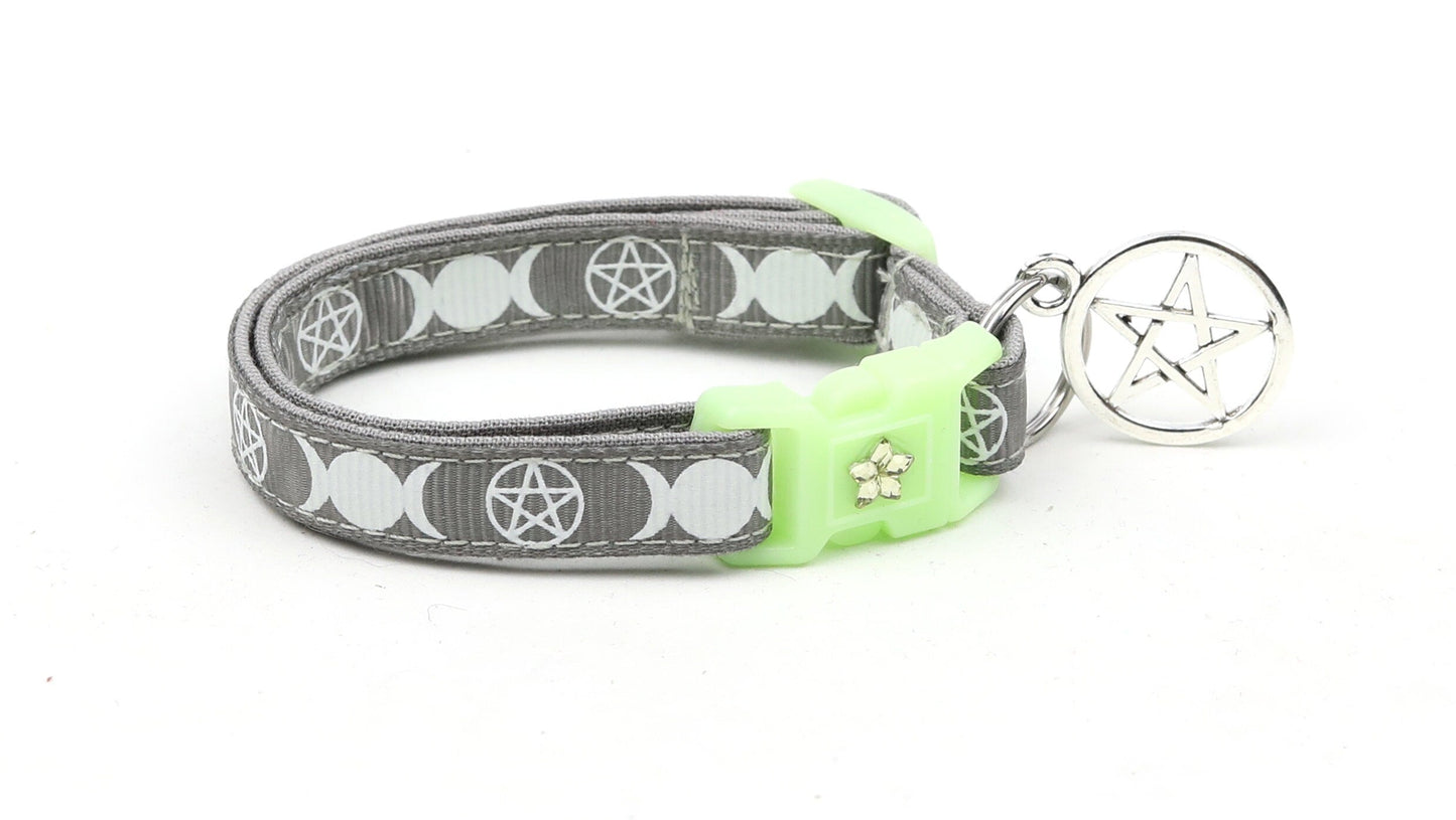 Witch's Familiar on Silver Cat Collar