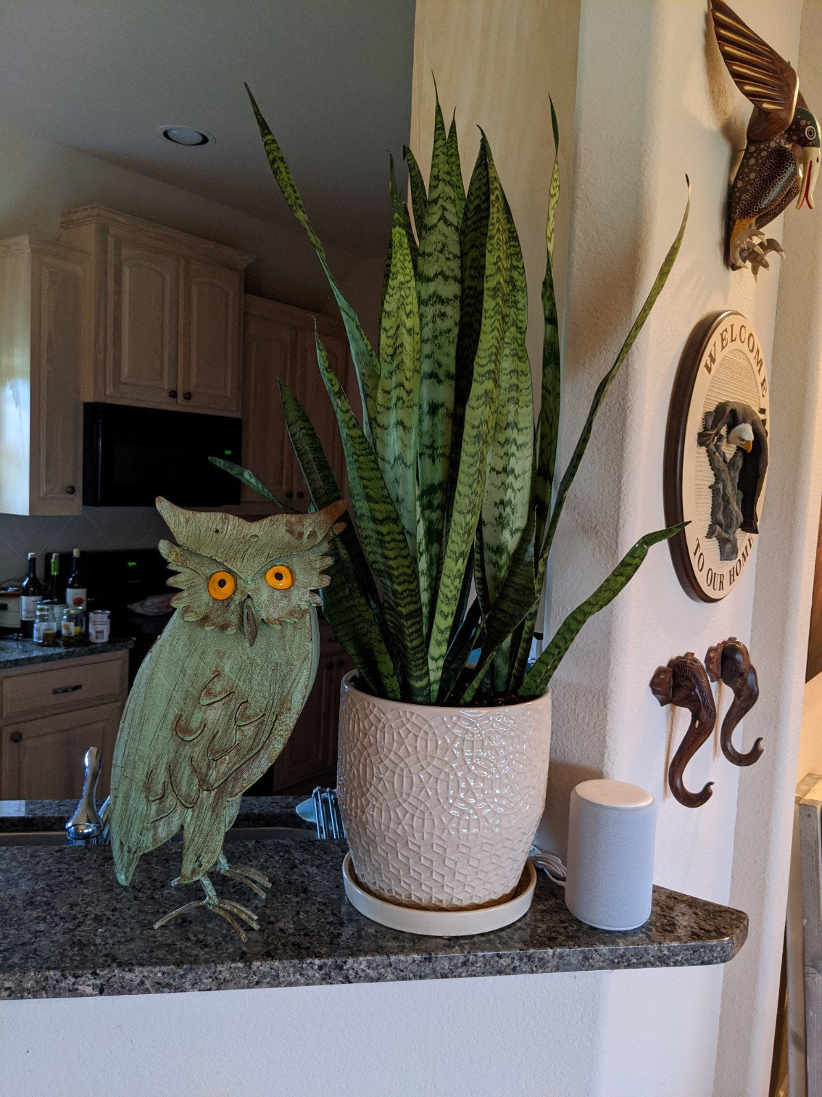 Pre-Order | Owl Garden Decor & Metal Statue Ships 7-25 | Outdoor Owl Decoration Yard Decor, Metal Owl Sculpture Home Decor Figurine in Green