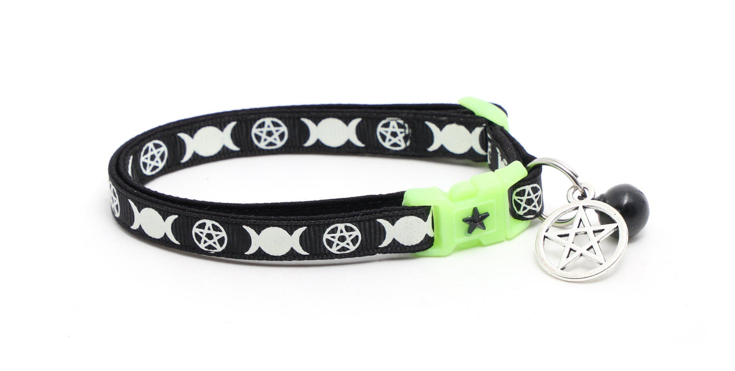 Witch's Familiar on Black Cat Collar