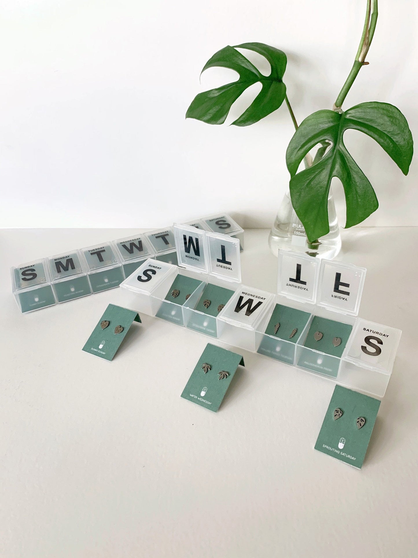 Pill Case 7 Day Plant Metal Stud Earrings