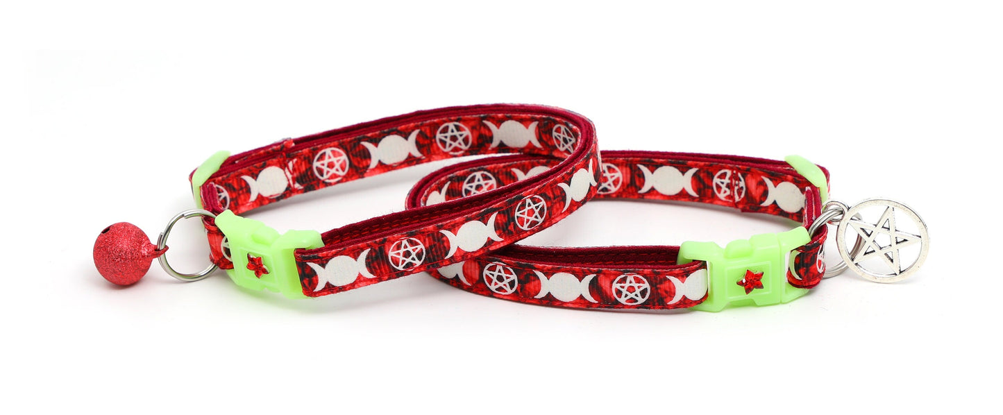 Witch's Familiar on Ruby Cat Collar