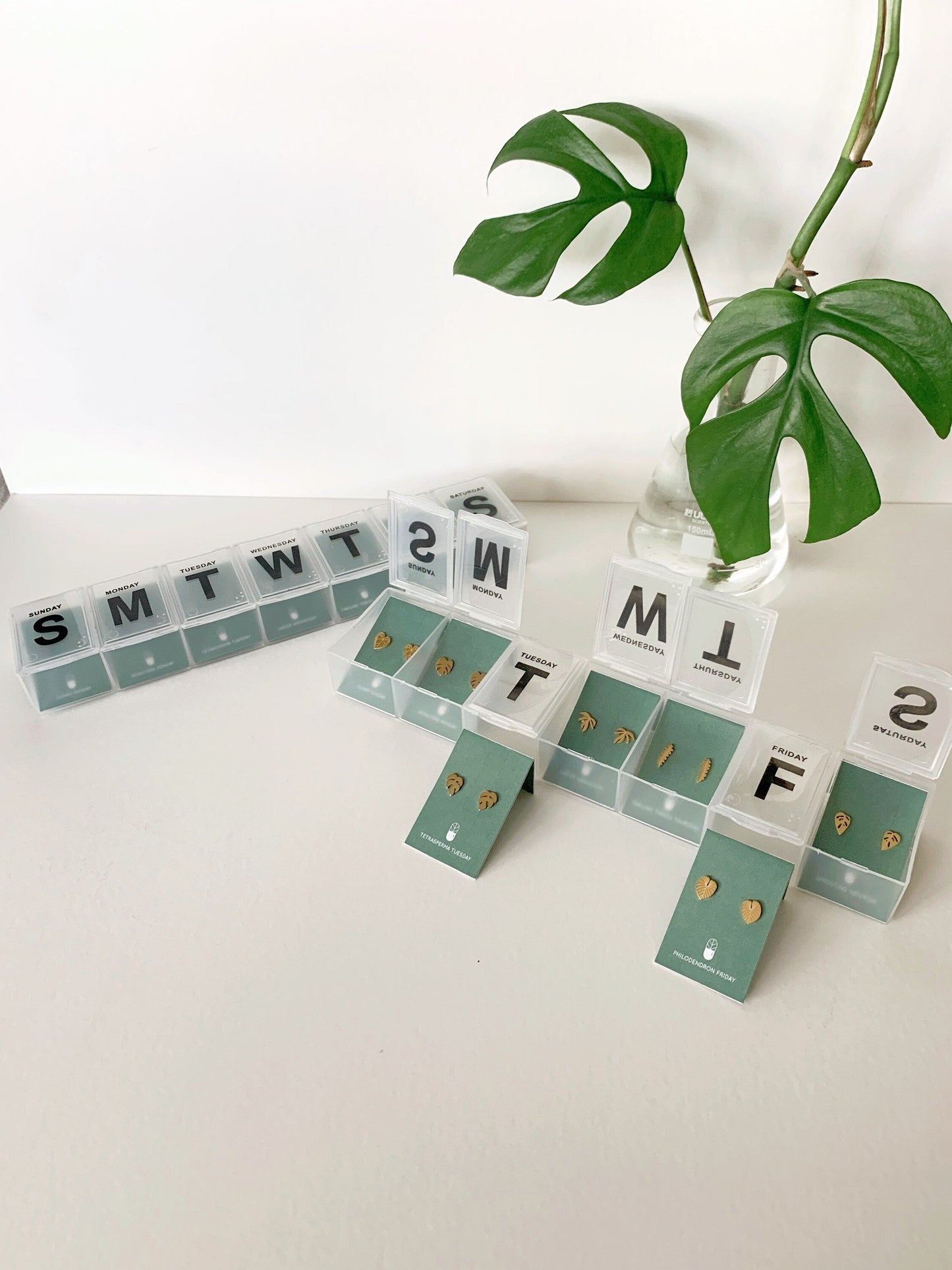 Pill Case 7 Day Plant Metal Stud Earrings