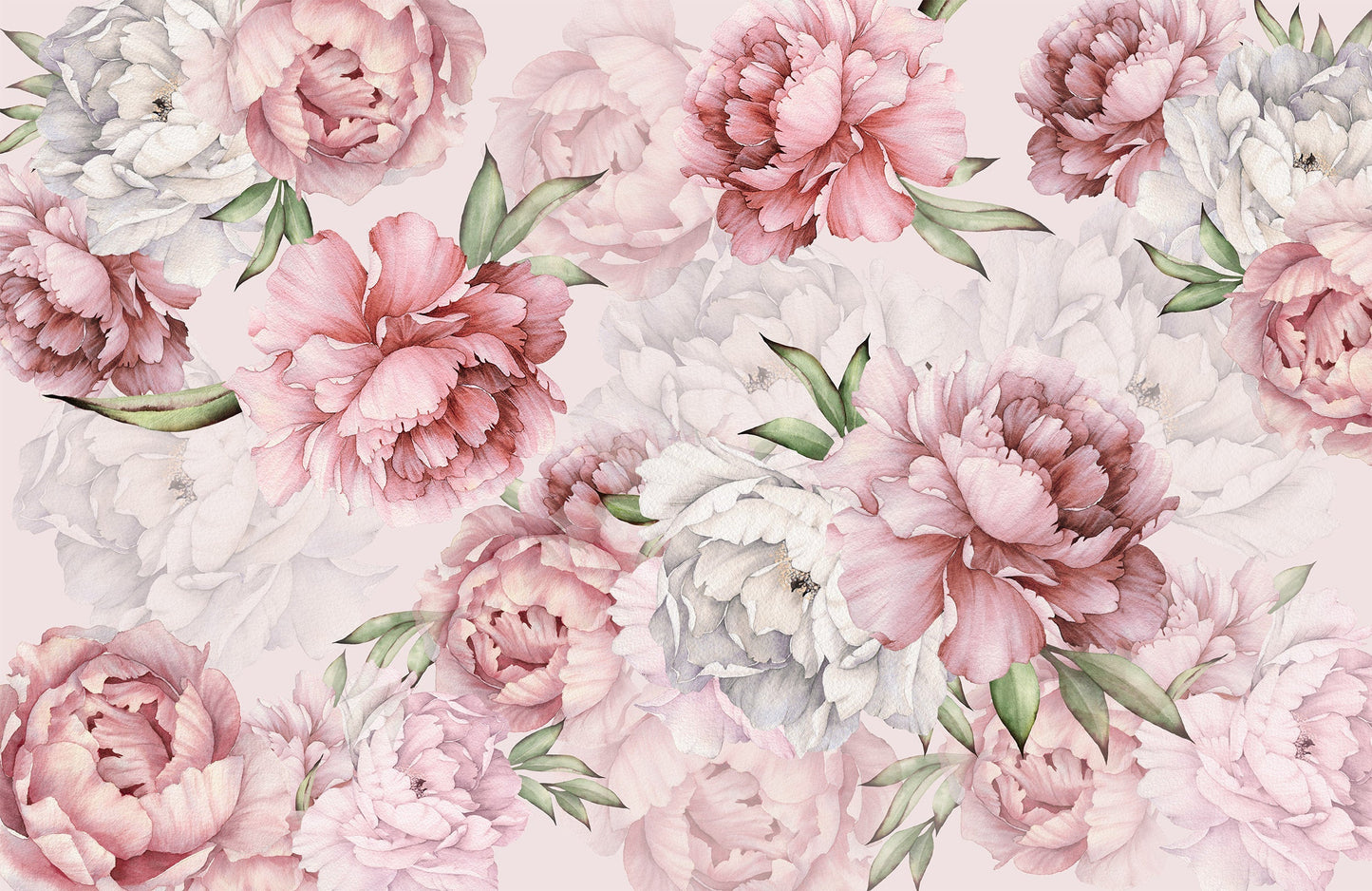 Pinky Peony Mural