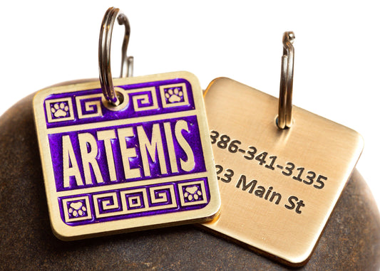 Engraved Greek Style Pet ID Tag Personalized for your Cat or Dog - Purple