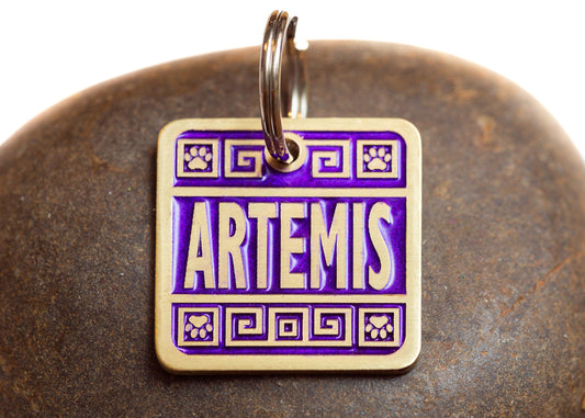 Engraved Greek Style Pet ID Tag Personalized for your Cat or Dog - Purple