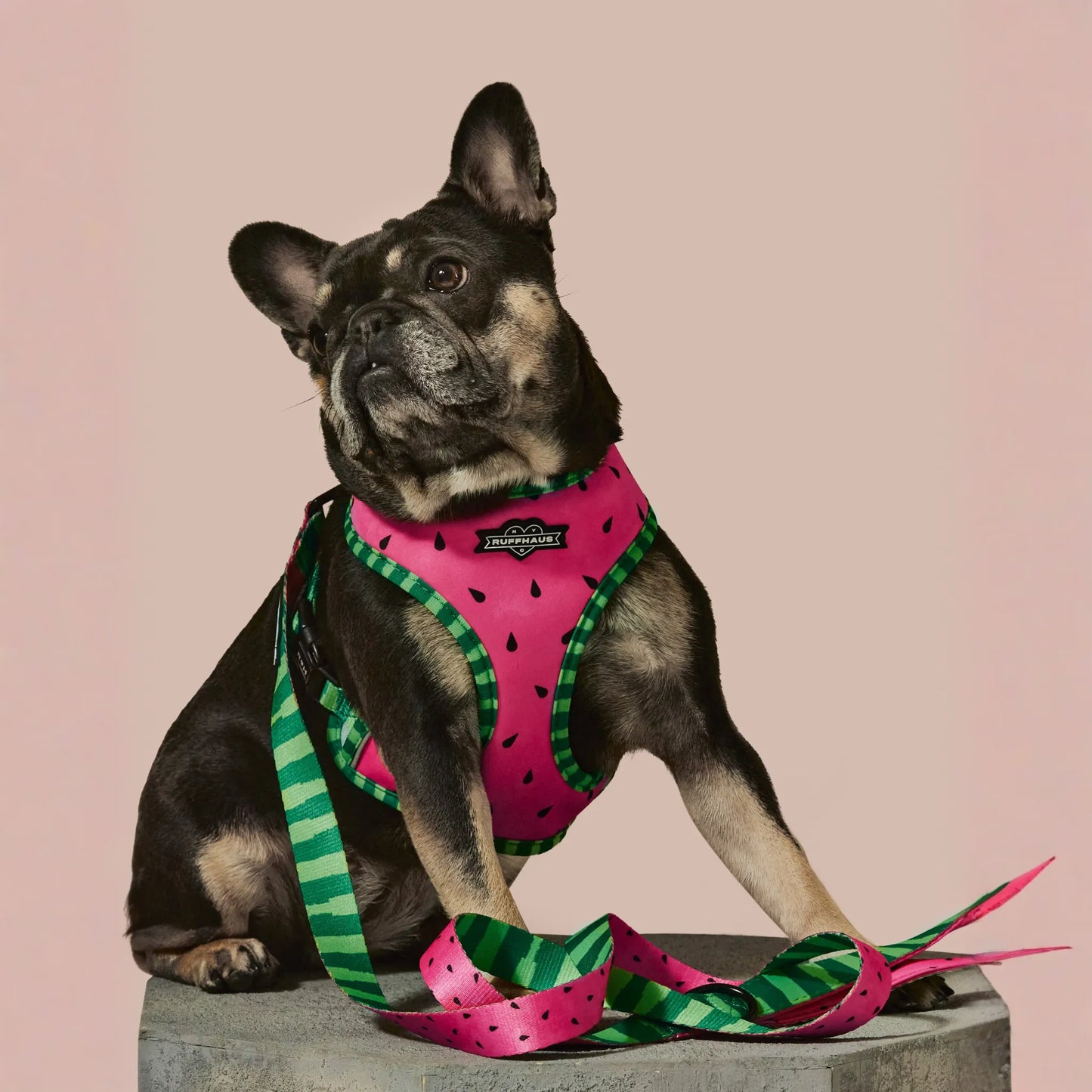 What-A-Melon Dog Leash