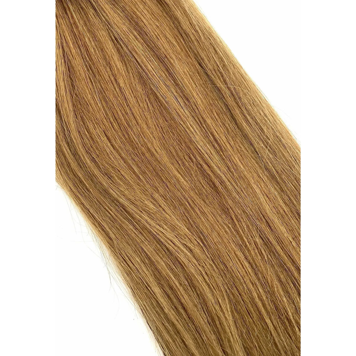 8 - Medium Ash Brown