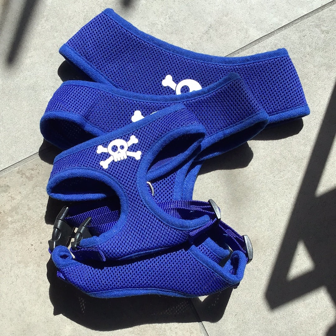 Dog Harness-Blue