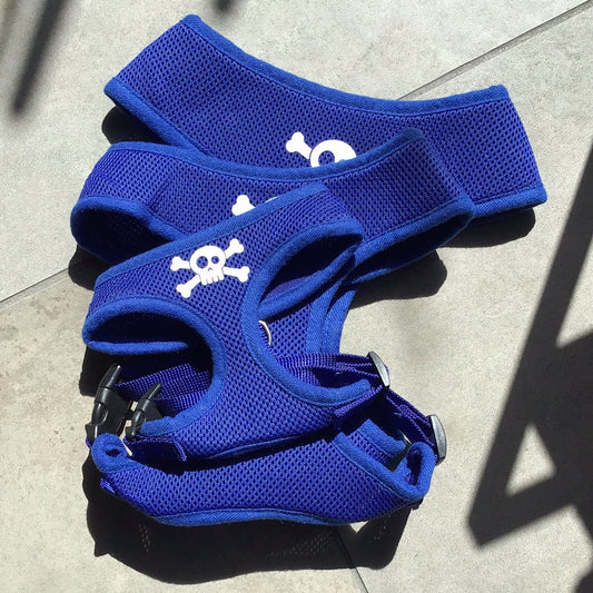 Dog Harness-Blue