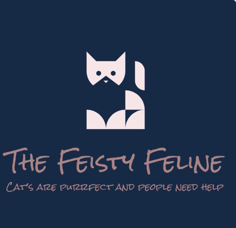 Cat CPR CLASS
