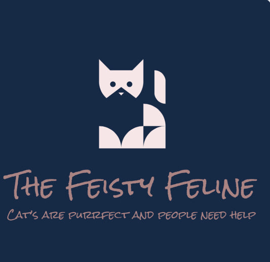 Cat CPR CLASS