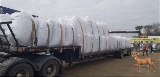 COTTON SEED 1000 LBS